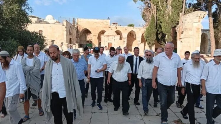 محافظة القدس: 11,409 مستوطنين اقتحموا الأقصى خلال موسم الأعياد العبرية​ 