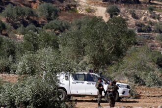 شهيد فلسطيني و16 إصابة بهجوم للمستوطنين على قاطفي الزيتون في الضفة​ 