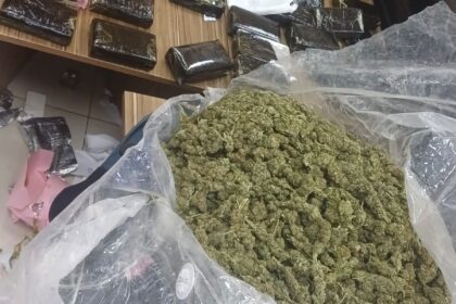 الجمارك الأردنية تضبط 296 كفّ حشيش و6 كيلوغرامات من مادة الماريجوانا